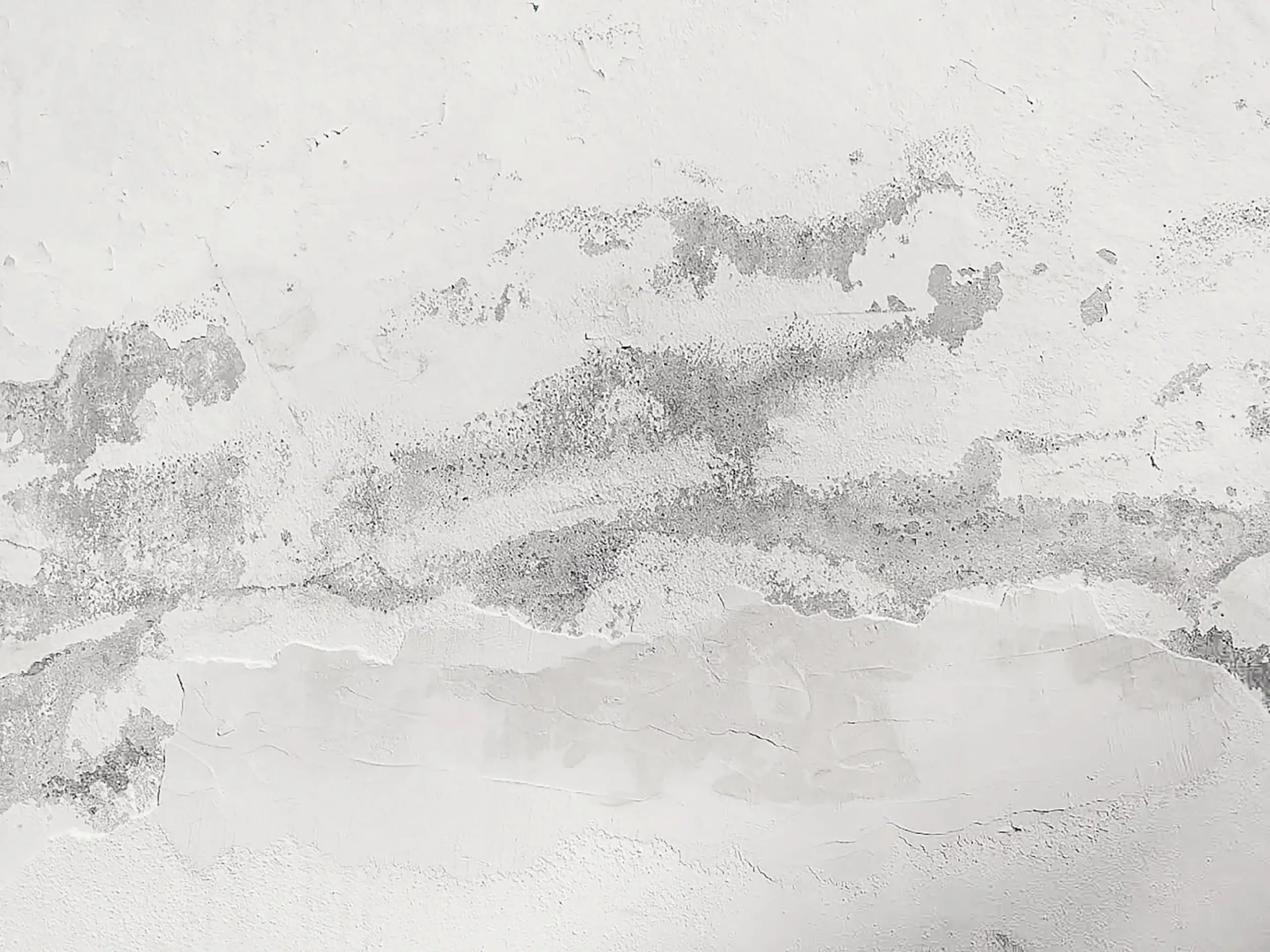 Nettoyage de facade murale